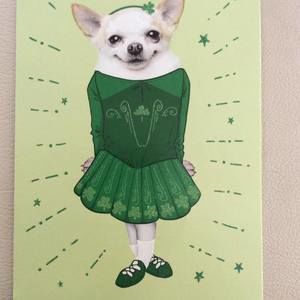 Meet your Posher, Rose